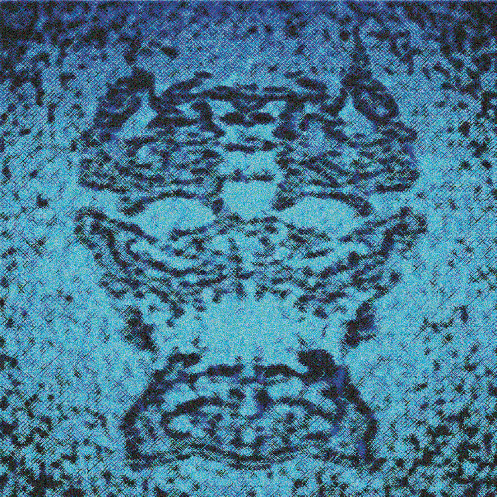 Idl qr code neuroticism ultrasuoni records