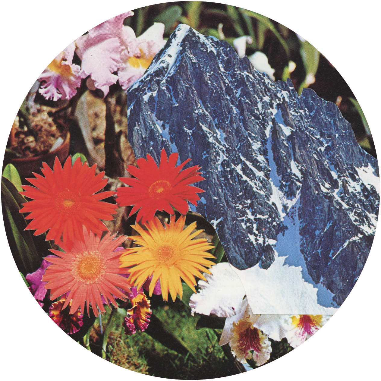 Private_Parts_Label_07_online