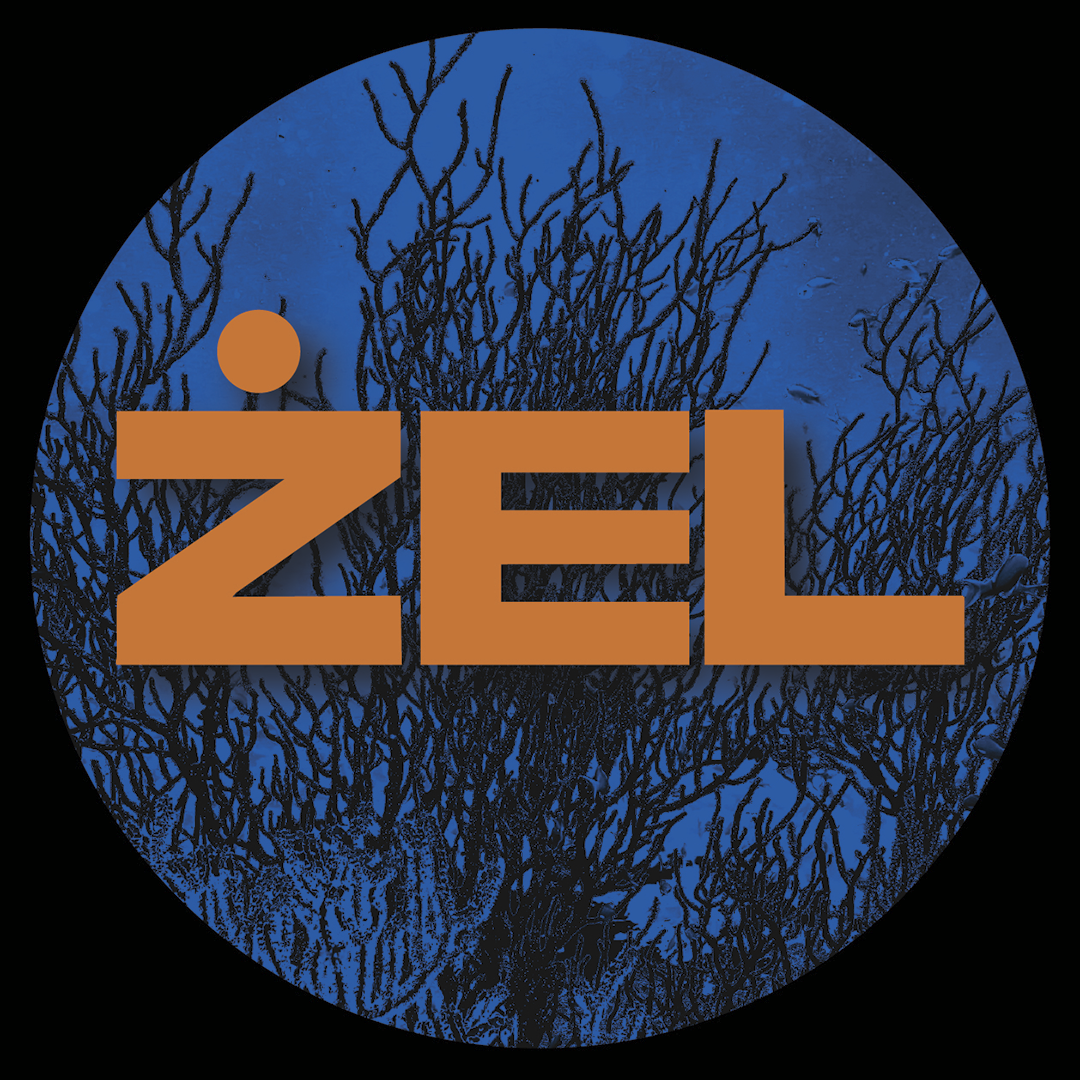 ZEL-02A-Vinyl-Official_Logo